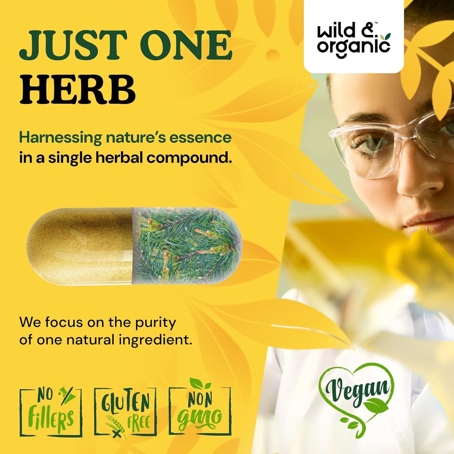 Cápsulas de Polen de Pino Silvestre Orgánico 1000 mg - 60 Unidades