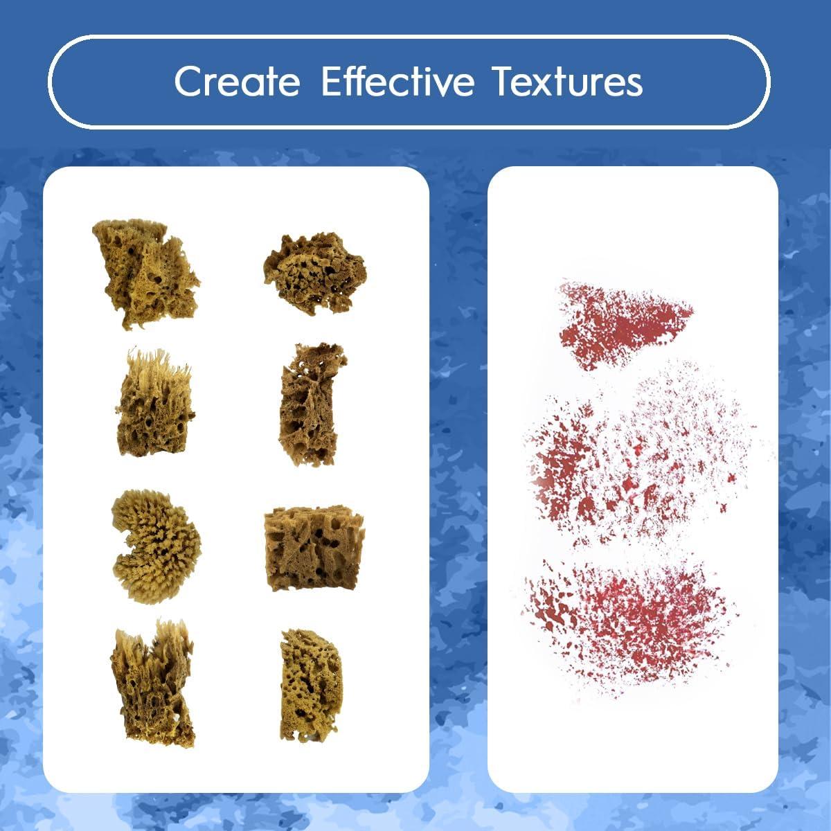 Esponjas Marinas Naturales Naroa para Pintura 8 Piezas