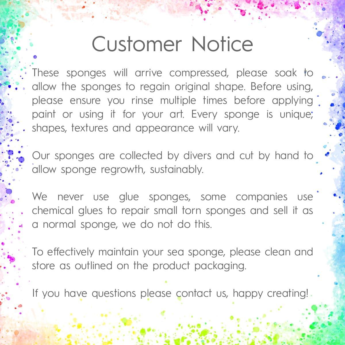 Esponjas Marinas Naturales Naroa para Pintura 8 Piezas