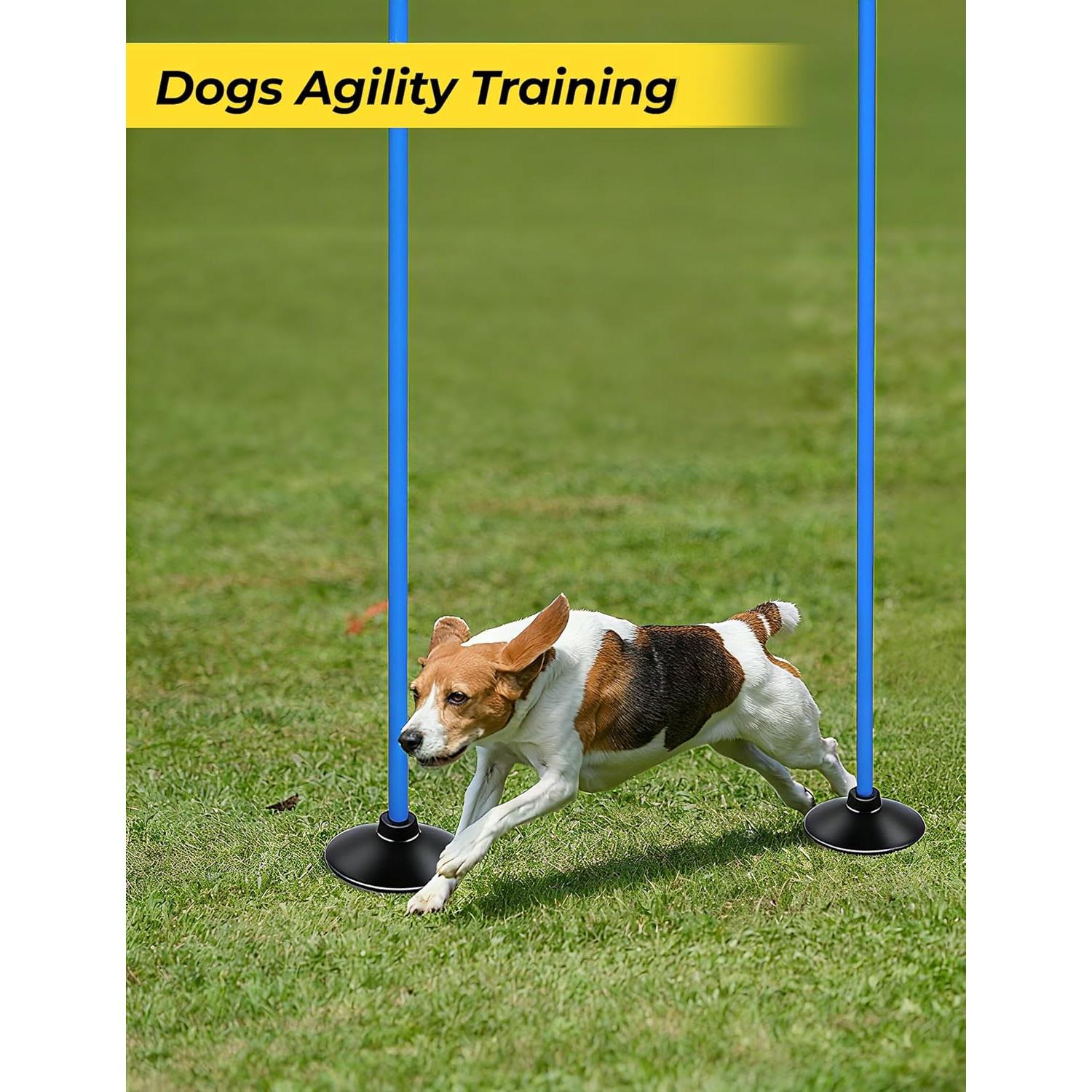 Set de Postes de Agilidad SEAOTTER 10 Piezas 1.83m Ajustables