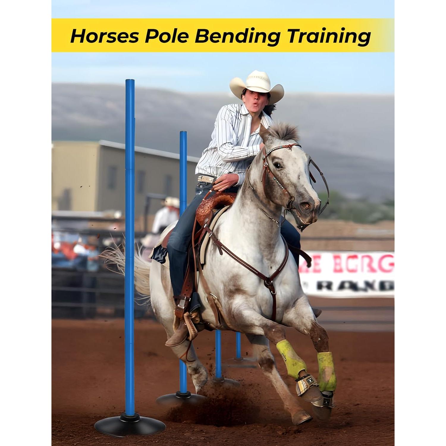 Set de Postes de Agilidad SEAOTTER 10 Piezas 1.83m Ajustables