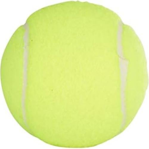 Pelotas de Tenis Penn Championship Fieltro Extra 12 Unidades