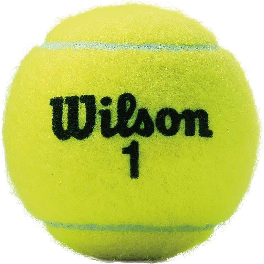 Pelotas de Tenis Wilson Championship Extra Duty - Paquete 24