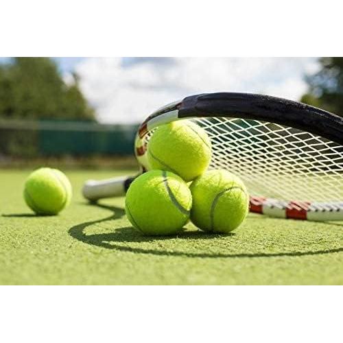 Pelota de Tenis WILSON Extra Duty Lata Individual 4 Unidades