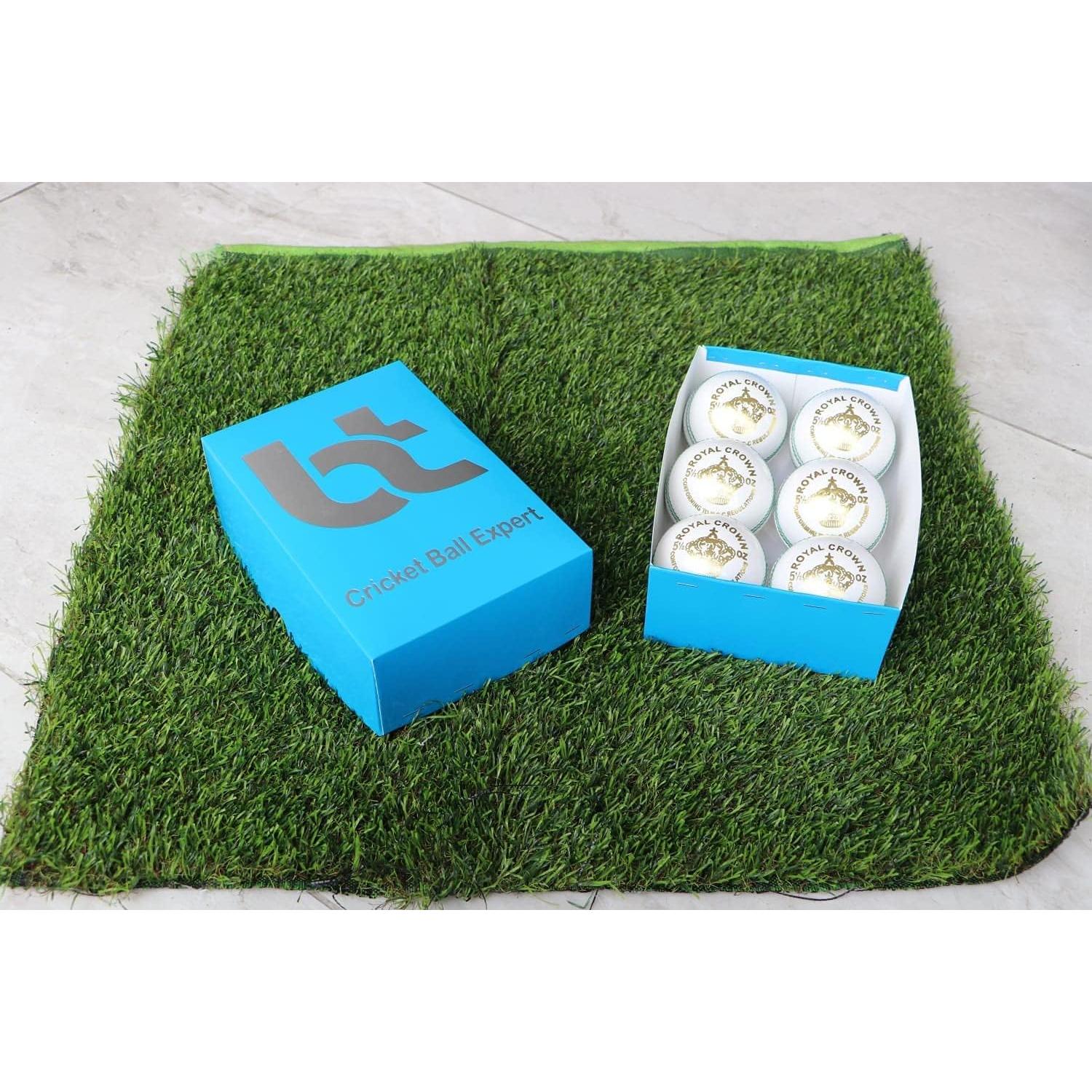 Paquete de 6 Bolas de Críquet Blancas BT Cricket 156g