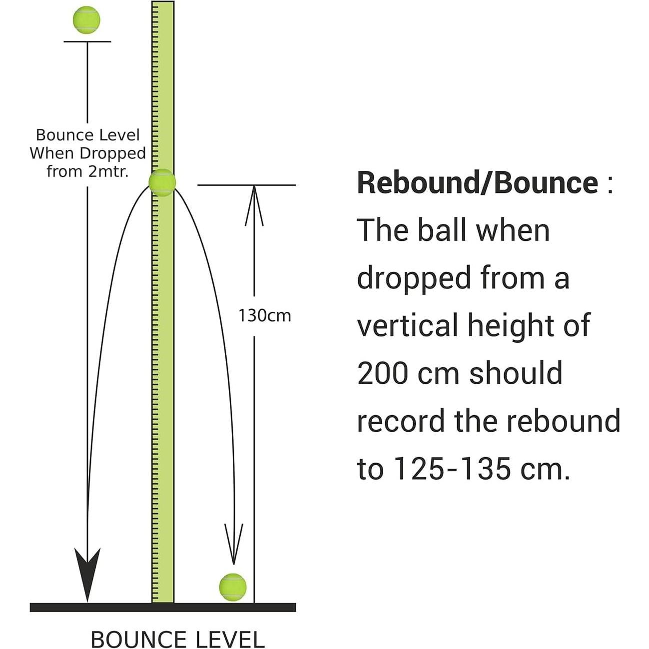 Pelotas de Cricket NIVIA CT-3812 - Paquete de 12 Unidades