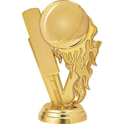 Trofeo Cricket Fireball Crown Awards 27.94 cm Grabado Personalizado