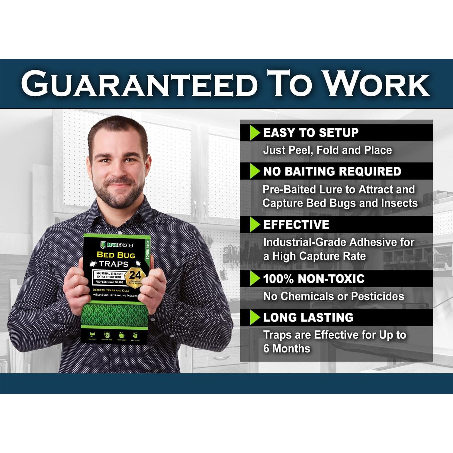 Trampas para Chinches MaxGuard 24 Unidades No Tóxicas