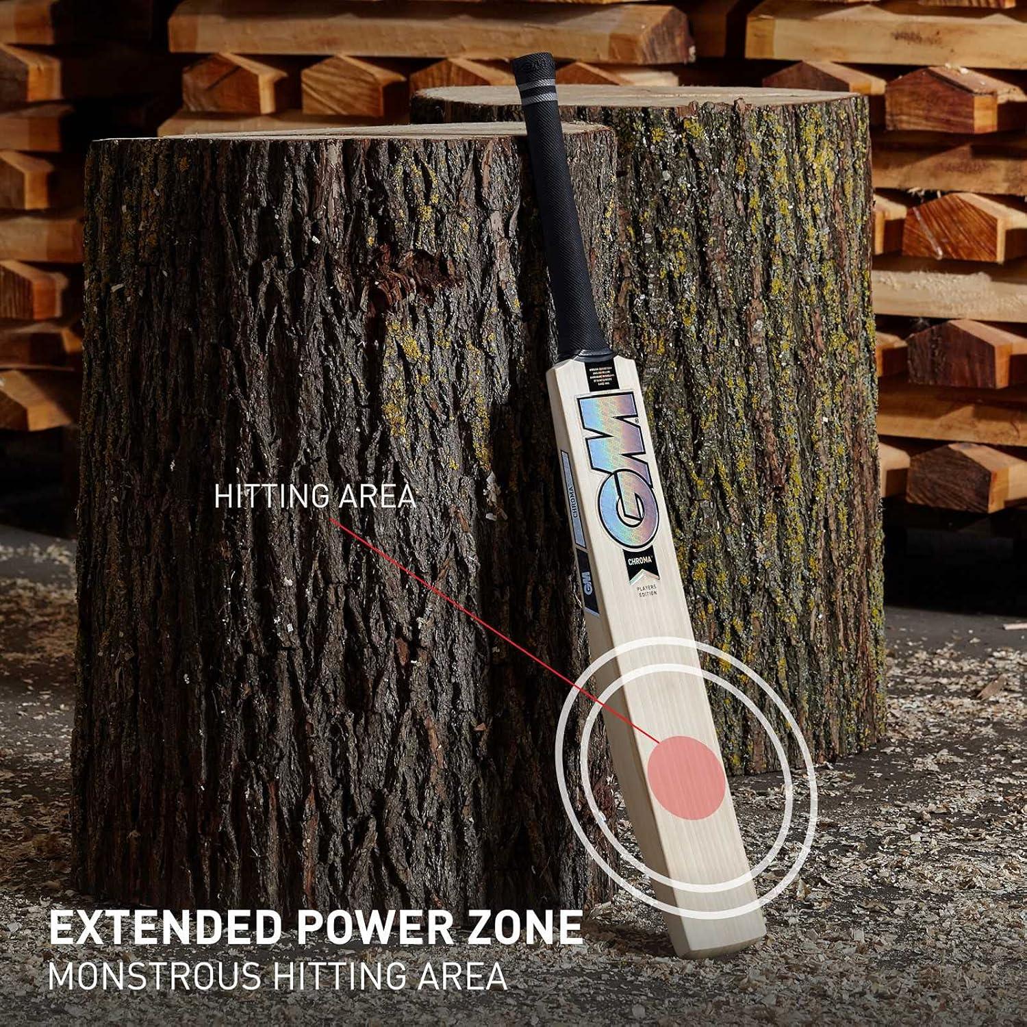 Bate de Críquet GM Chroma Profesional Sauce Inglés 1200g