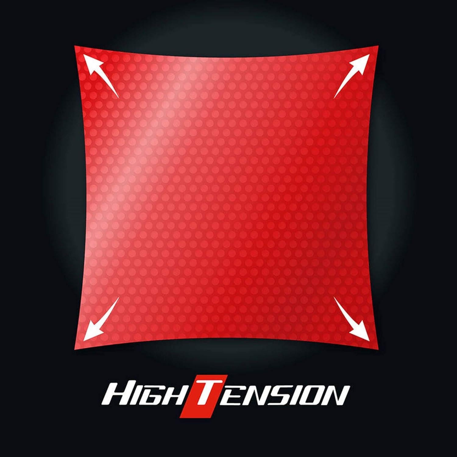 Raqueta de Tenis de Mesa Butterfly Viscaria Pro-Line Tenergy 05