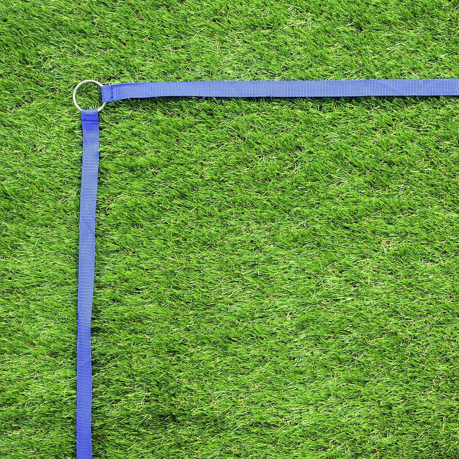 Red de Voleibol Park & Sun 0.91x9.75m + Cinta Límite Azul