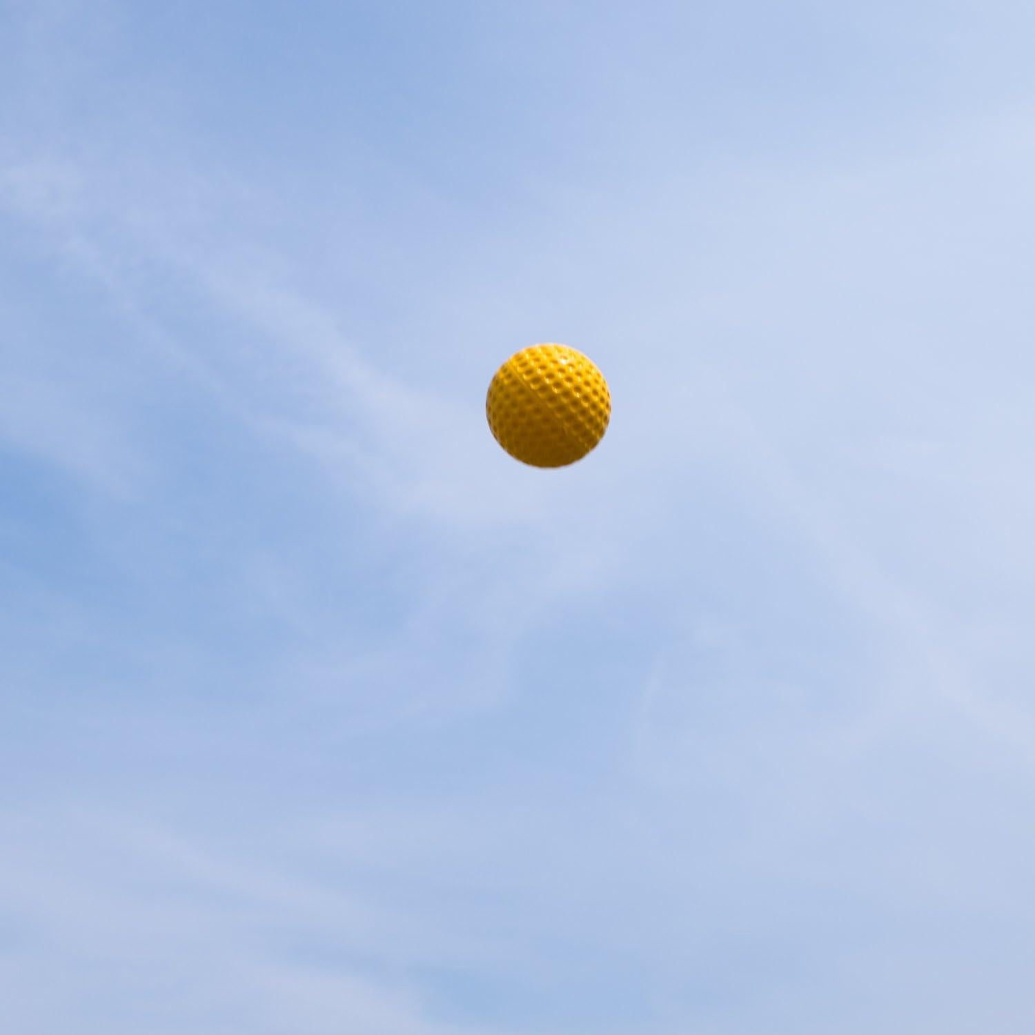 Pelotas de Béisbol para Máquina de Lanzamiento Champion Sports - 12 Unidades