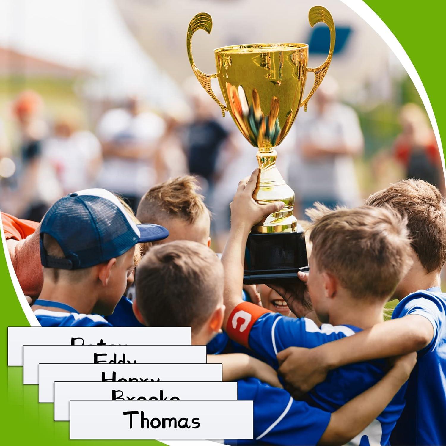 Etiquetas Magnéticas Deekin 60 Piezas 6x1.3 cm para Pizarra