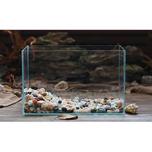 Caja de Cristales de Sanación Reiki Xujia - 10 Gemas Naturales