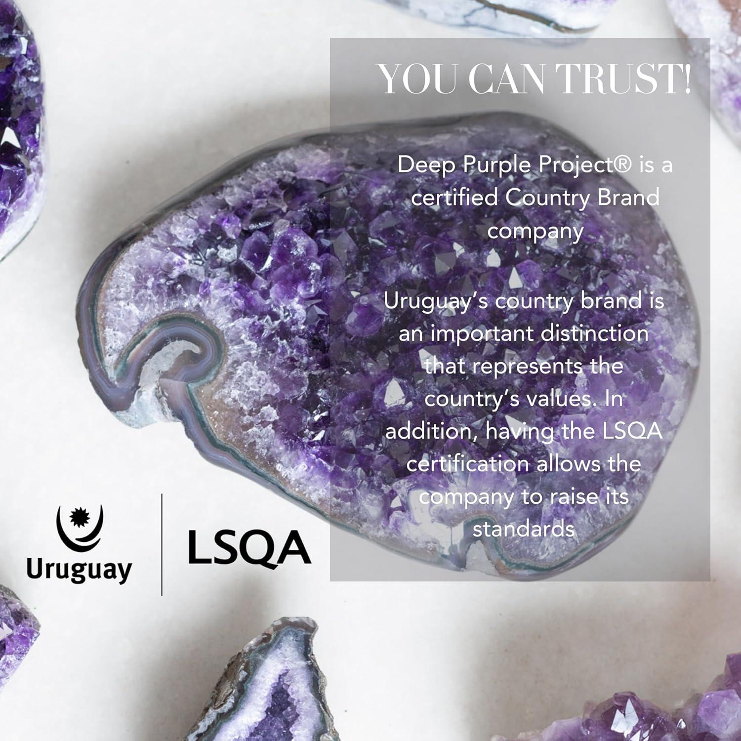 Geoda de Cristal de Amatista Deep Purple 226g Tamaño Mediano