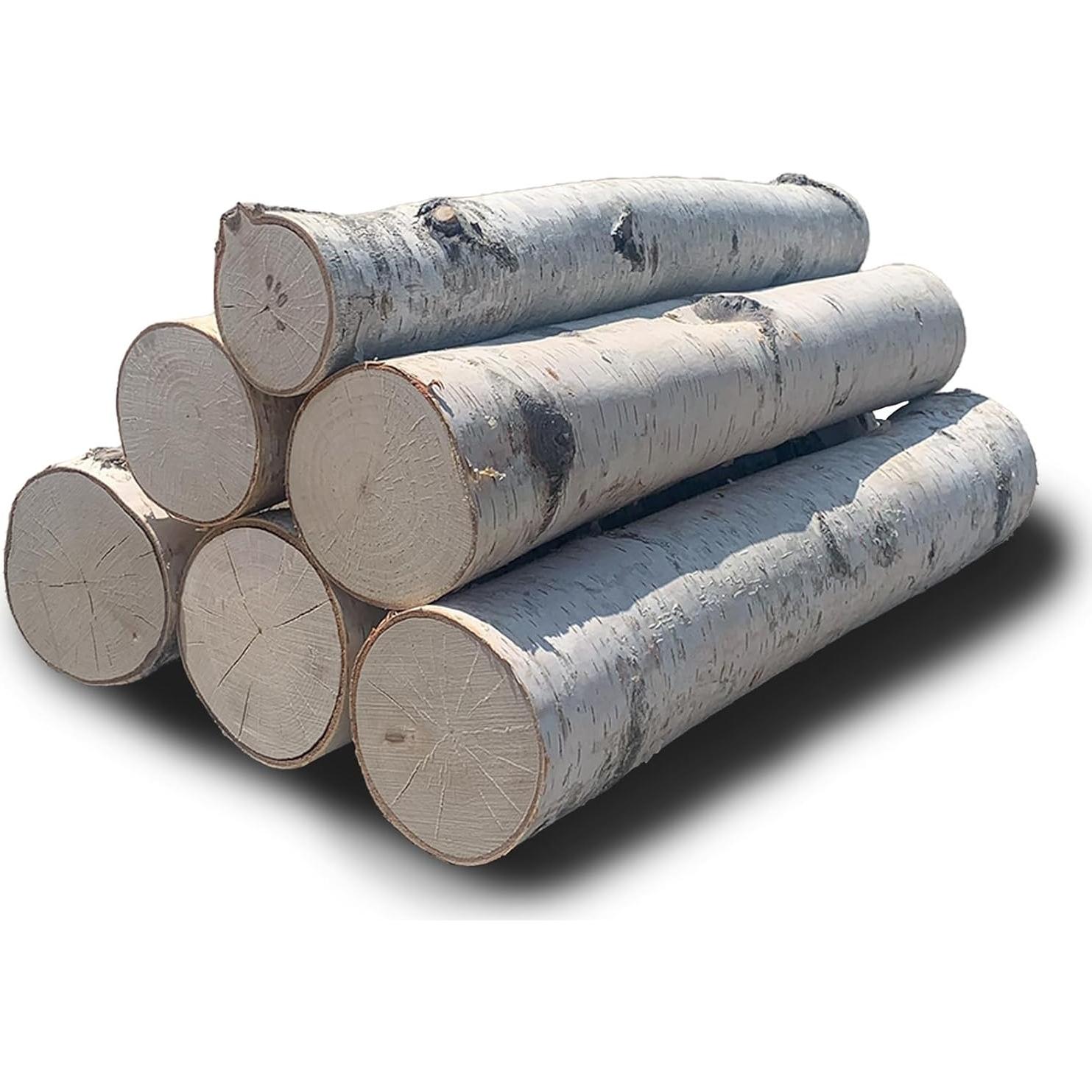 Juego de 6 Troncos Decorativos de Abedul Wilson 39-44 cm