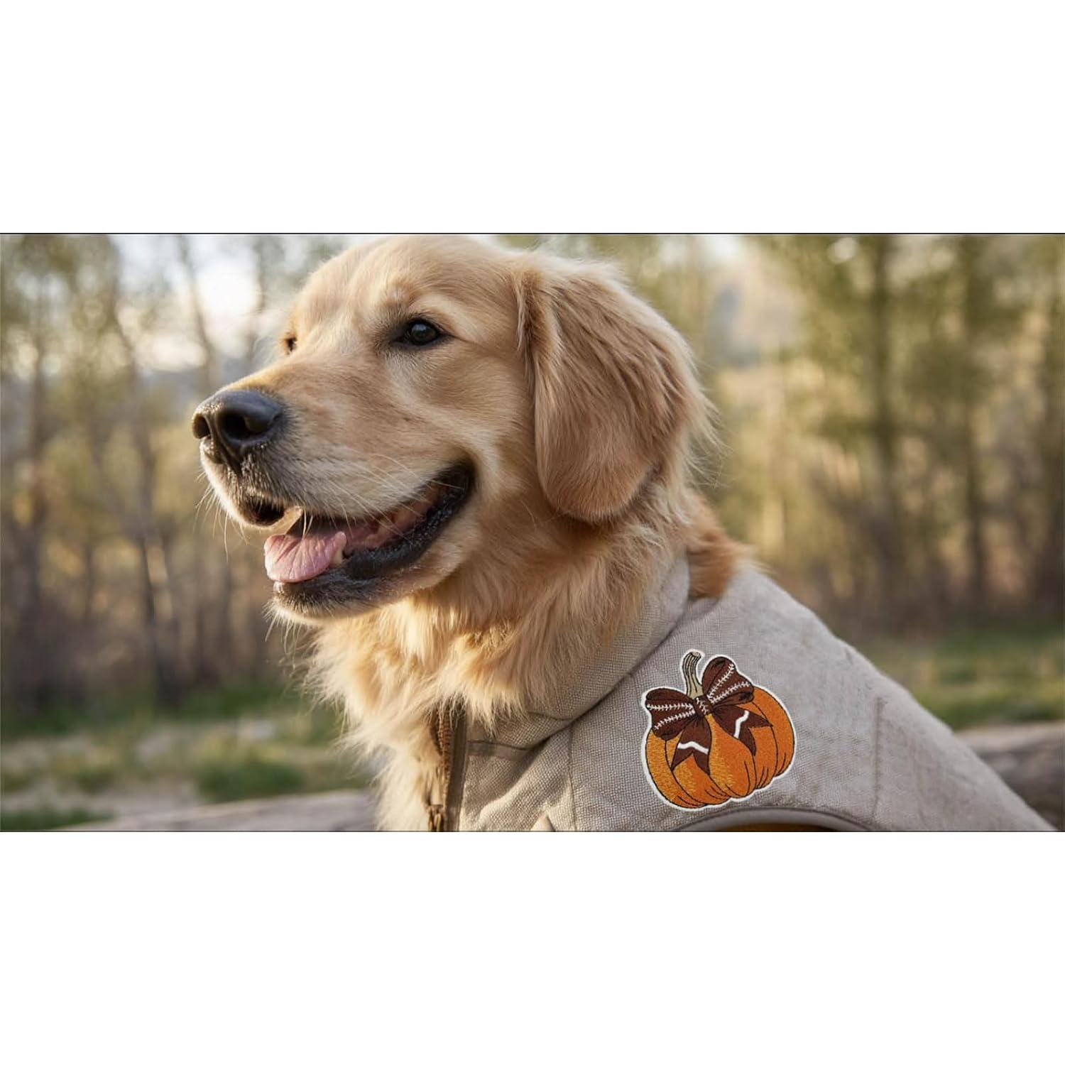 Parche Bordado Termoadhesivo Calabaza Fútbol Cute-Patch 8.89 cm