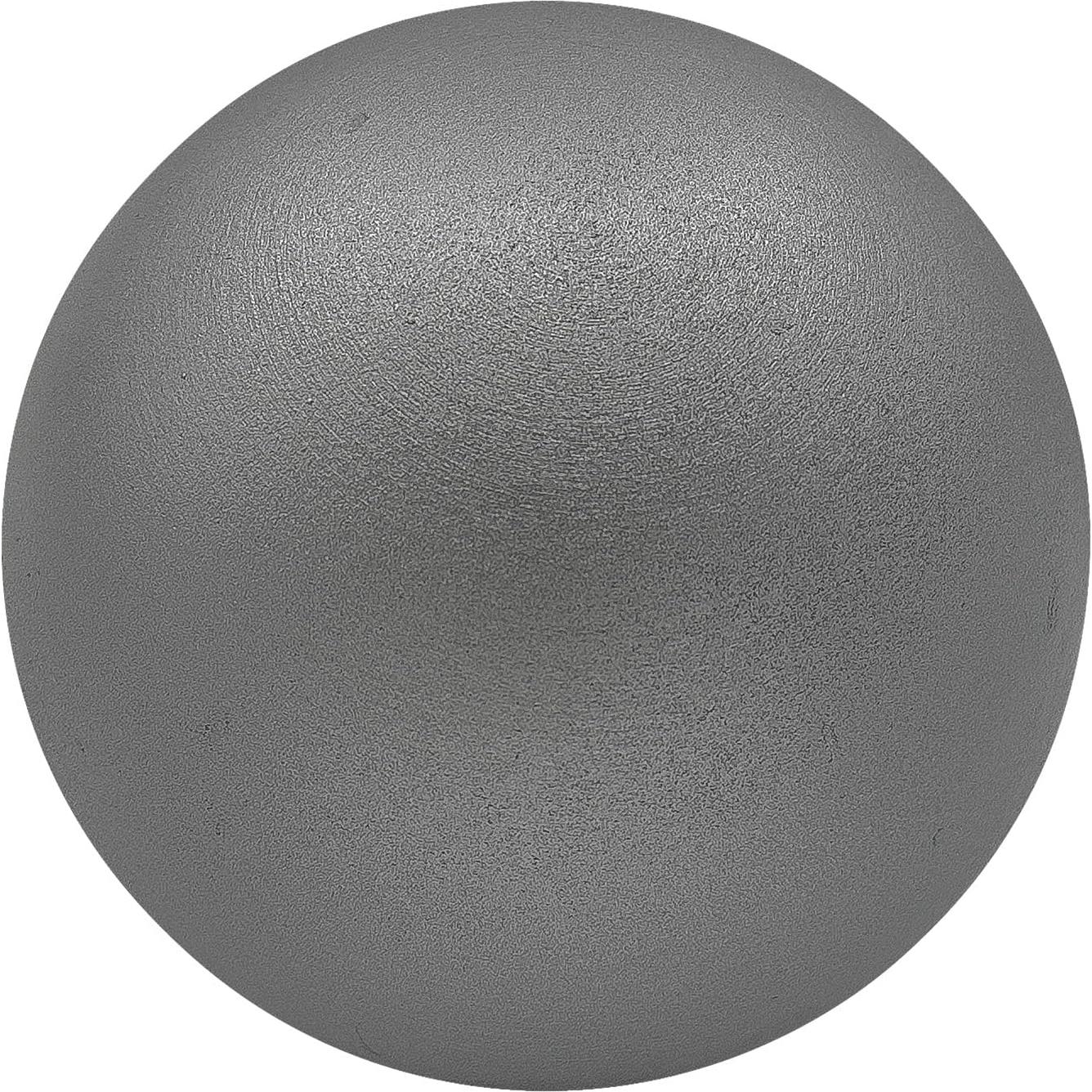 Lanzamiento de Peso de Hierro Champion Sports 5.44 kg