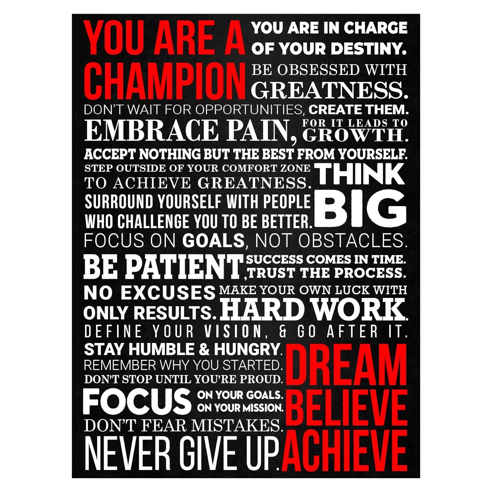 Póster Motivacional HoneyKICK Mantra de un Campeón 30.48x40.64cm