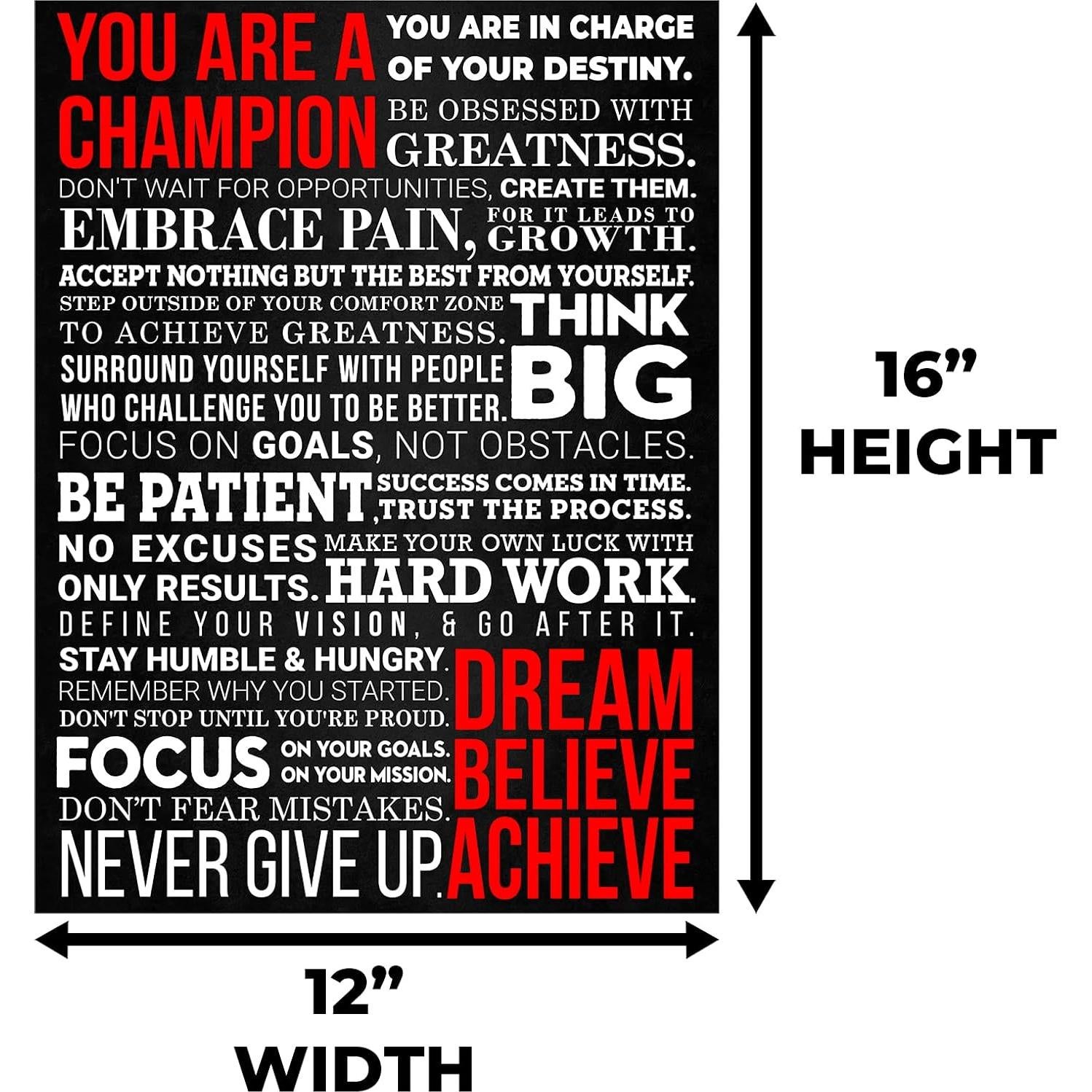 Póster Motivacional HoneyKICK Mantra de un Campeón 30.48x40.64cm