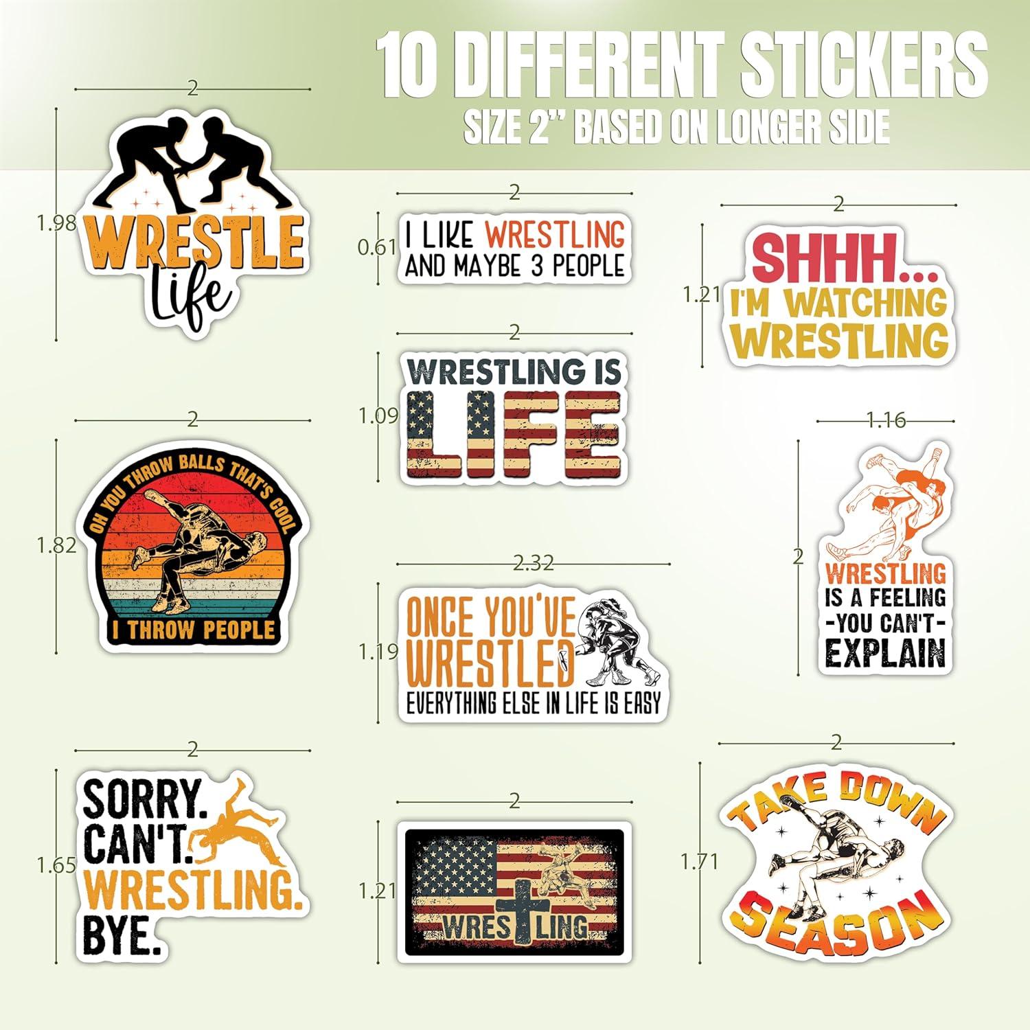 Hoja de Stickers Lucha Libre TAYTA 10pcs Vinilo Impermeable