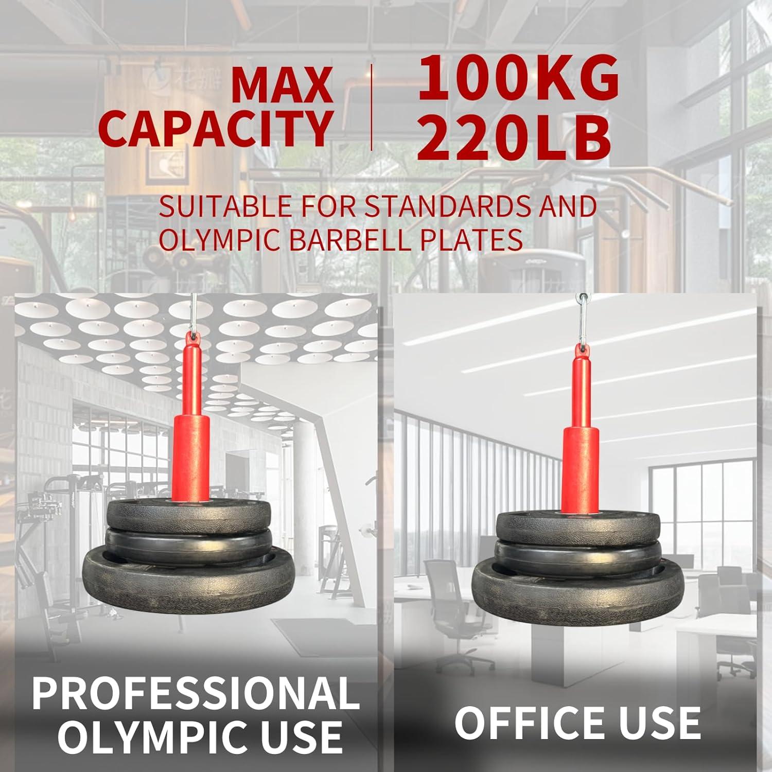 Sistema de Poleas para Entrenamiento de Lucha de Brazos CONBUT AWT