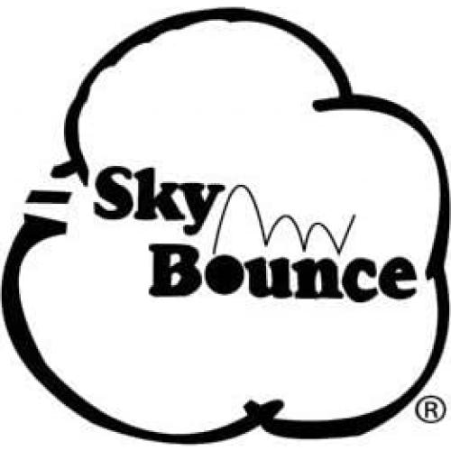 Pelotas de Goma Sky Bounce 5.72 cm Rojo - Paquete de 12