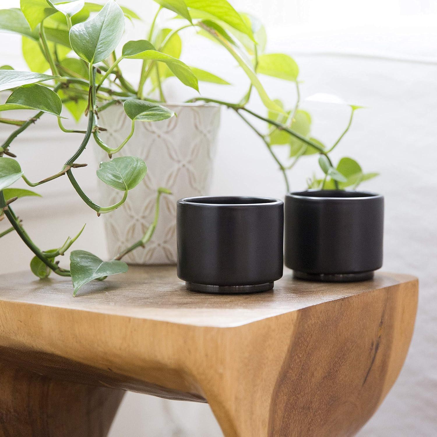 Tazas de Espresso Fellow Monty - Cerámica Doble Pared 3 oz (Set de 2)