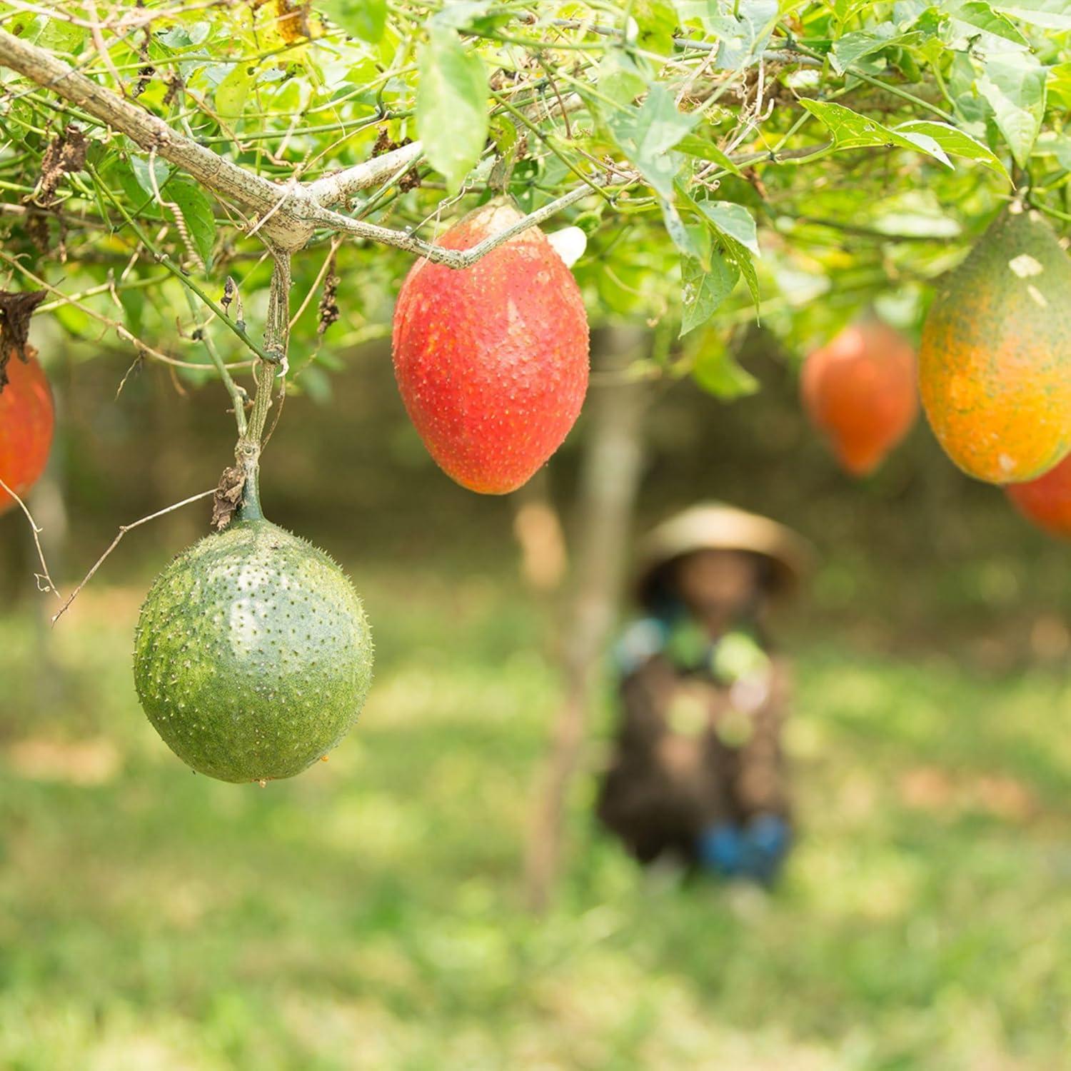 Jugo Nu Skin G3 - 739 ml - Mezcla de Superfrutas Antioxidantes