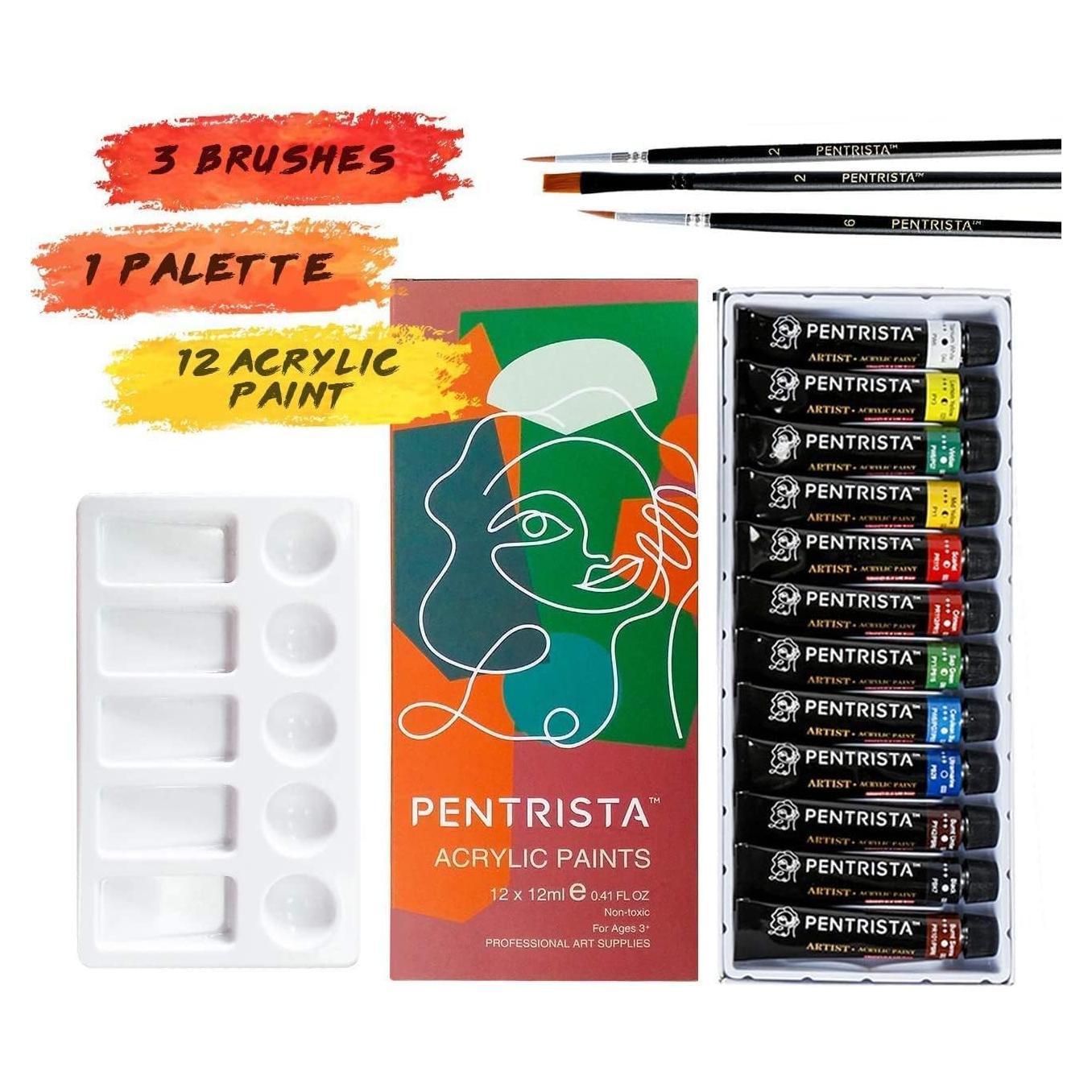 Juego de Pintura Acrílica PENTRISTA 48 Colores 12ml con Pinceles