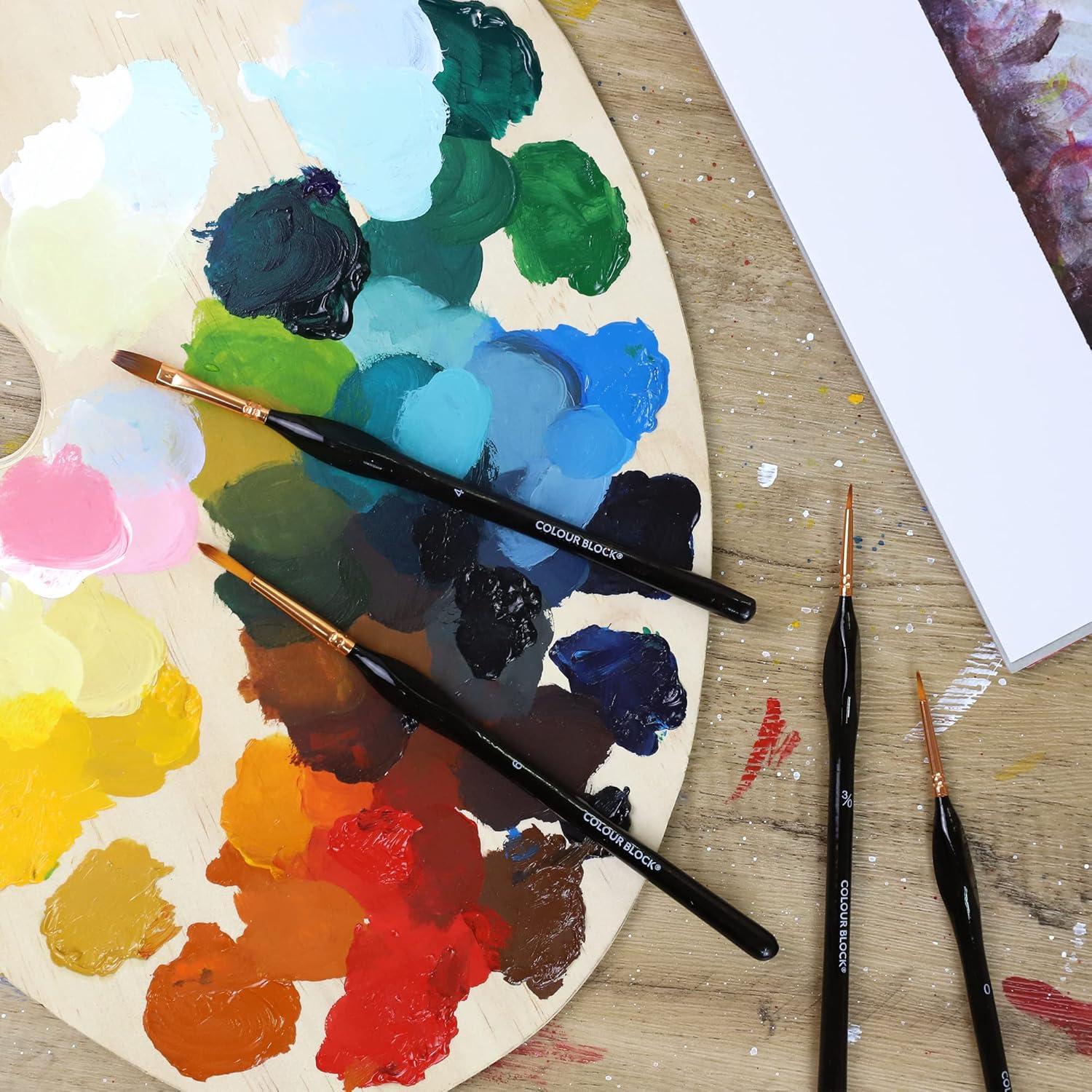 Set de Pinceles de Artista 12 Piezas Colour Block en Estuche de Cuero