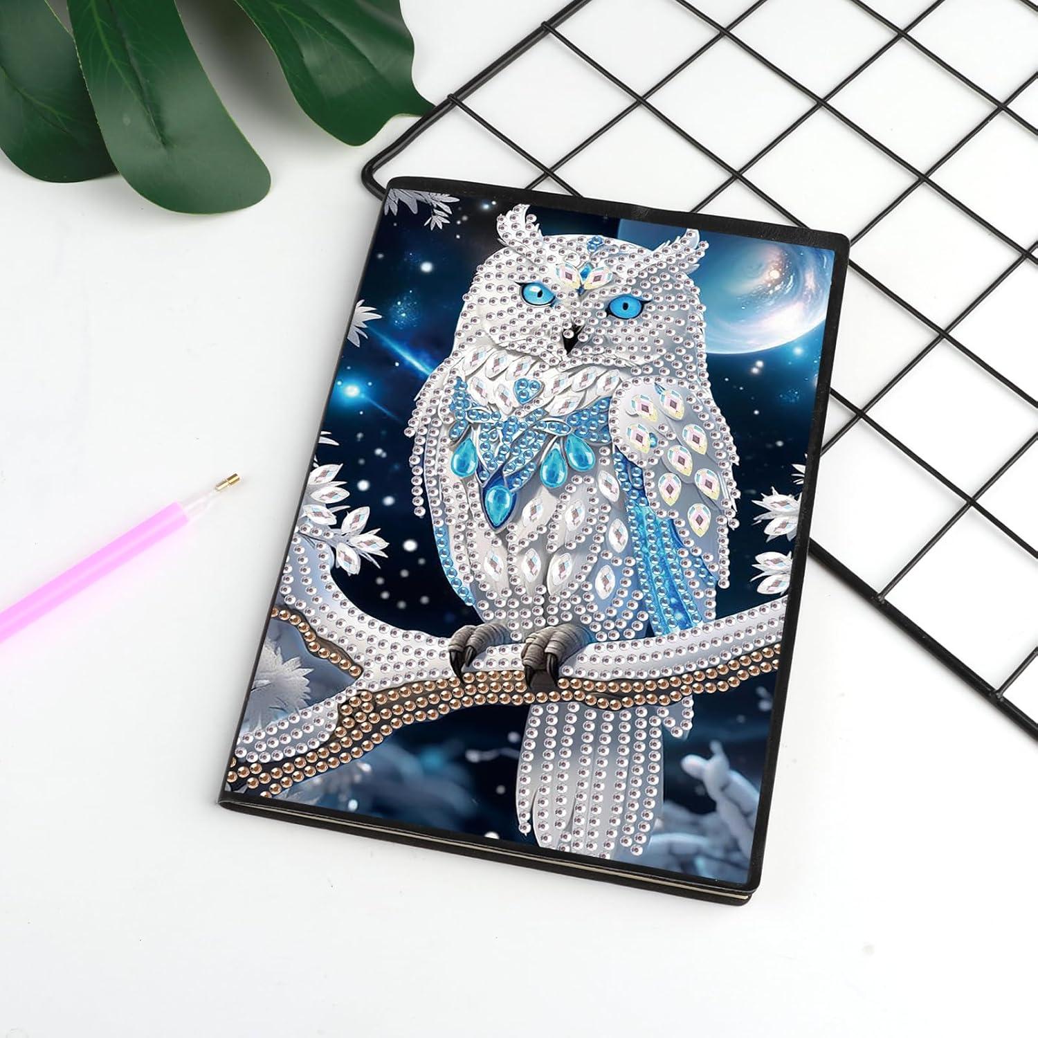 Cuaderno de Pintura de Diamante JISHSHAY 2 Pcs 21x14.5cm