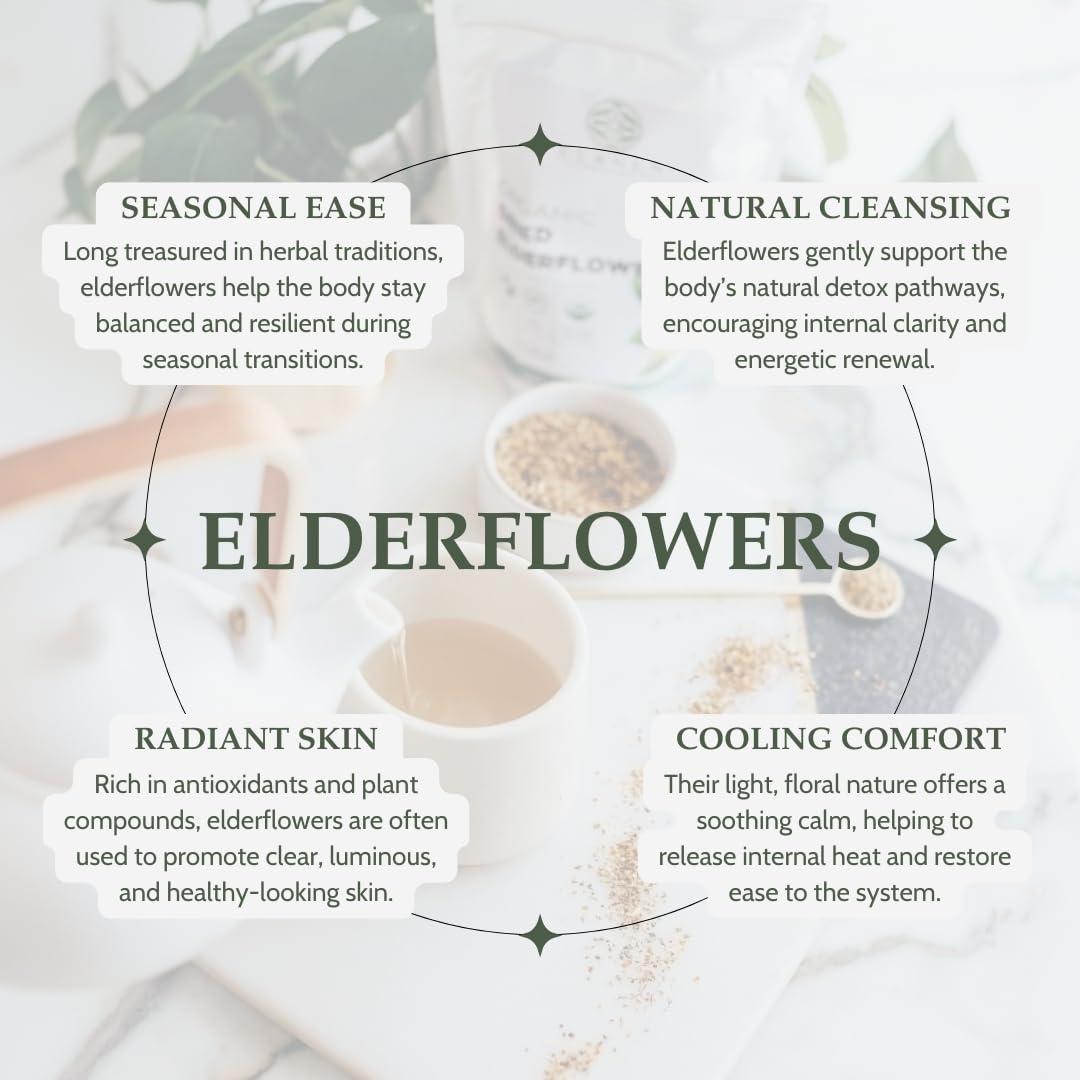Té de Flor de Sauco Seco Orgánico Elanen 454 g - Certificado USDA