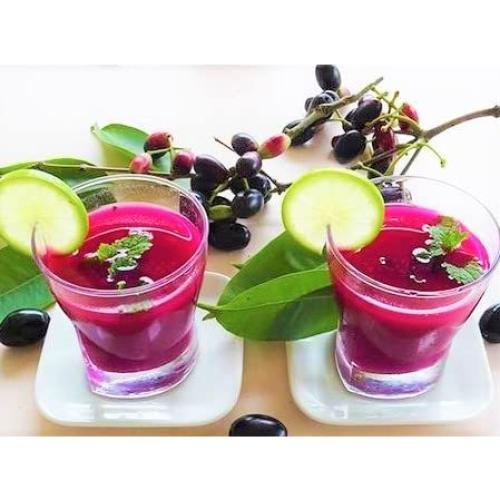 Polvo de Java Plum 100% Natural SATVIKZONE 170 g Vegano