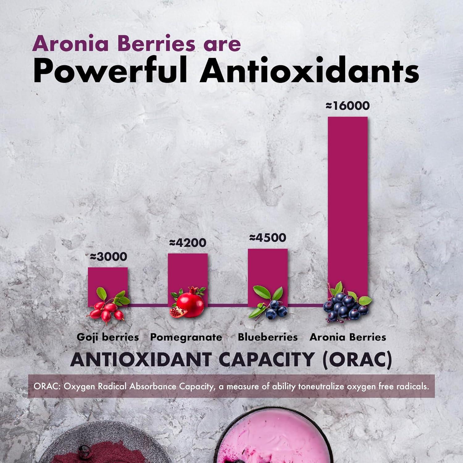 Extracto en Polvo de Aronia 20:1 Samsara Herbs 113g - Antioxidante