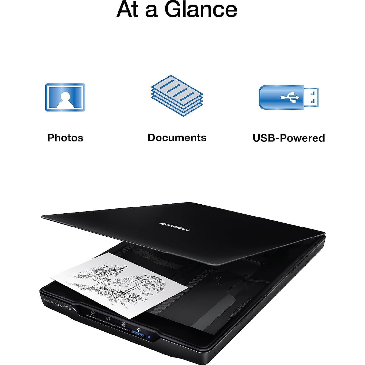 Escáner de Documentos Epson Perfection V19 II 4800 dpi USB