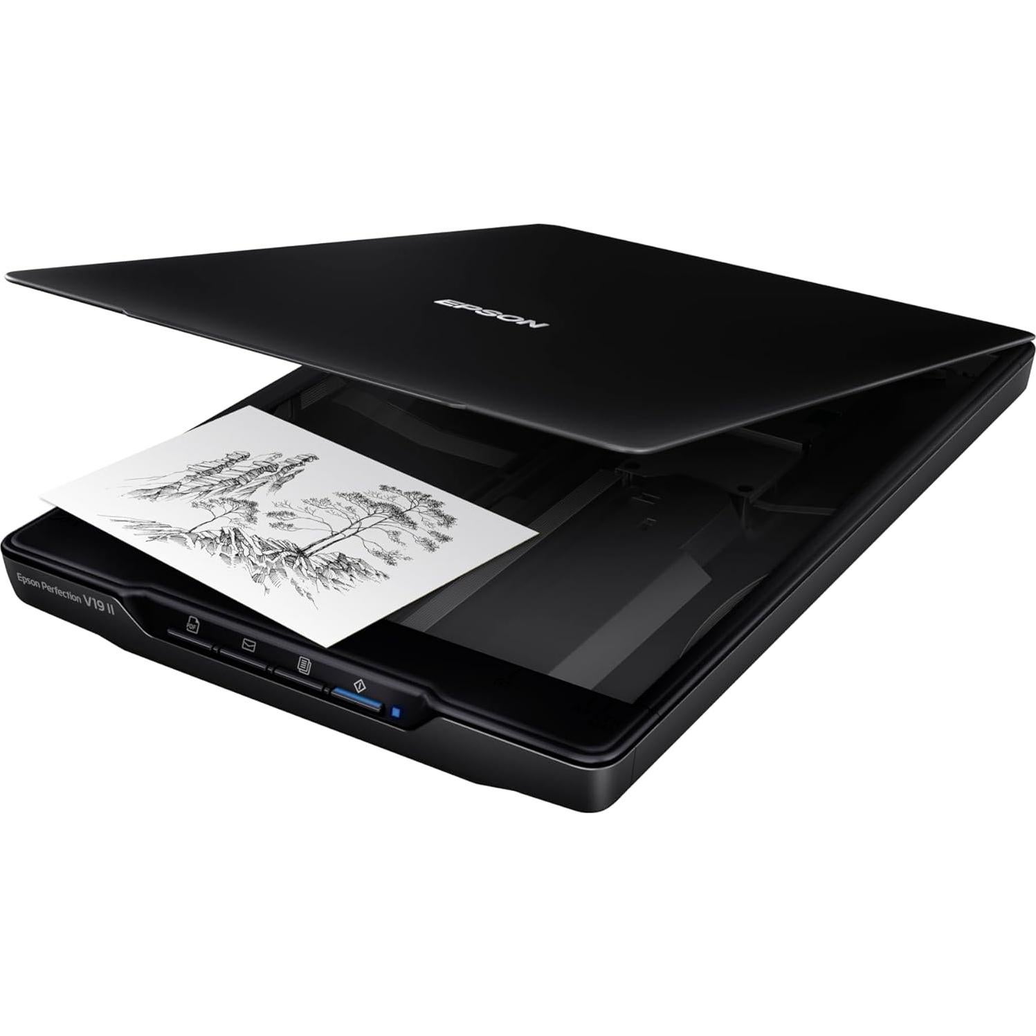 Escáner de Documentos Epson Perfection V19 II 4800 dpi USB