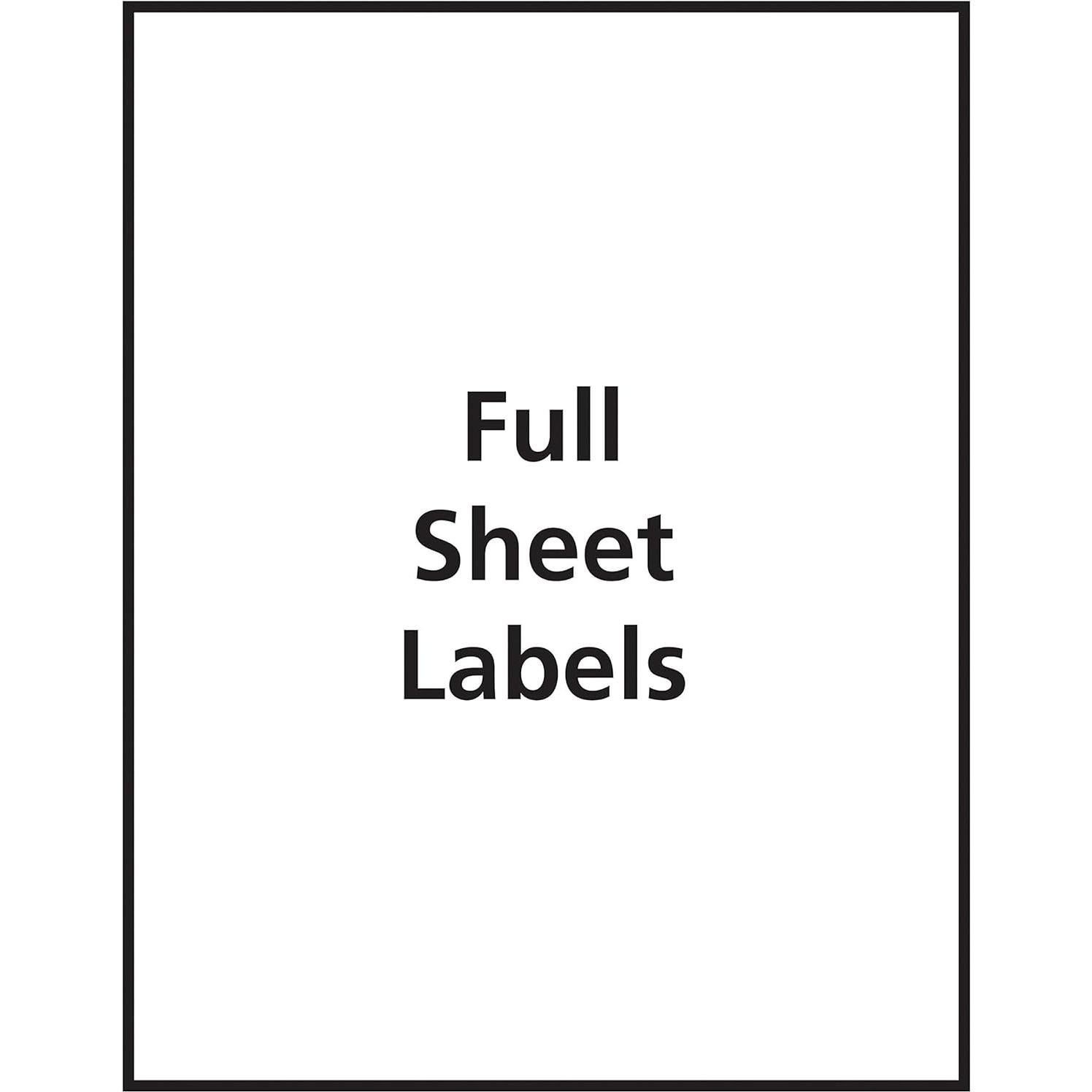 Etiquetas de Envío Transparentes Mate Avery 10 Unidades 21.6x27.9cm