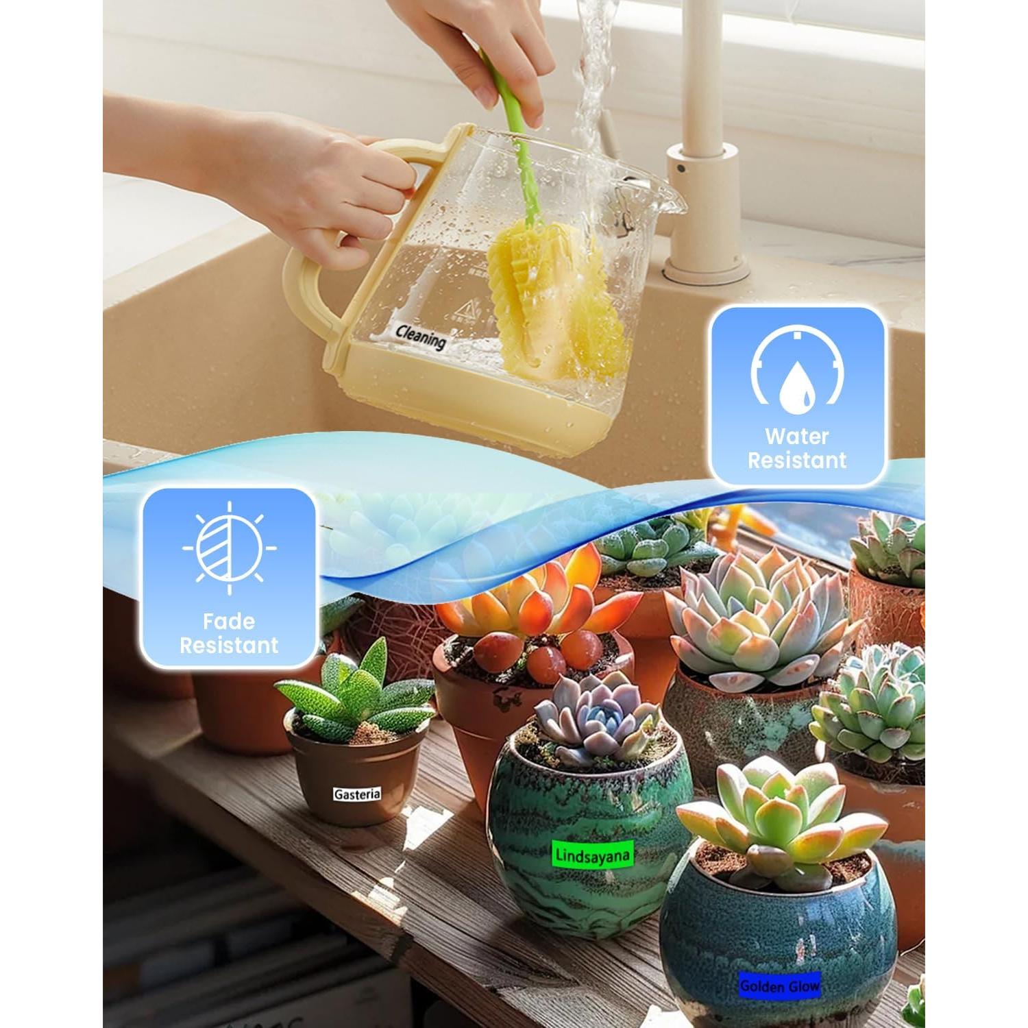 Paquete de 6 Cintas de Etiquetas HEWIN TZe 12mm Multicolor