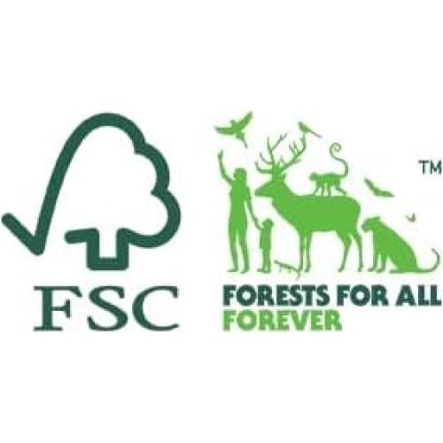 Rollo de Etiquetas Térmicas Rollo 500 Piezas 10x15 cm Adhesivo Fuerte