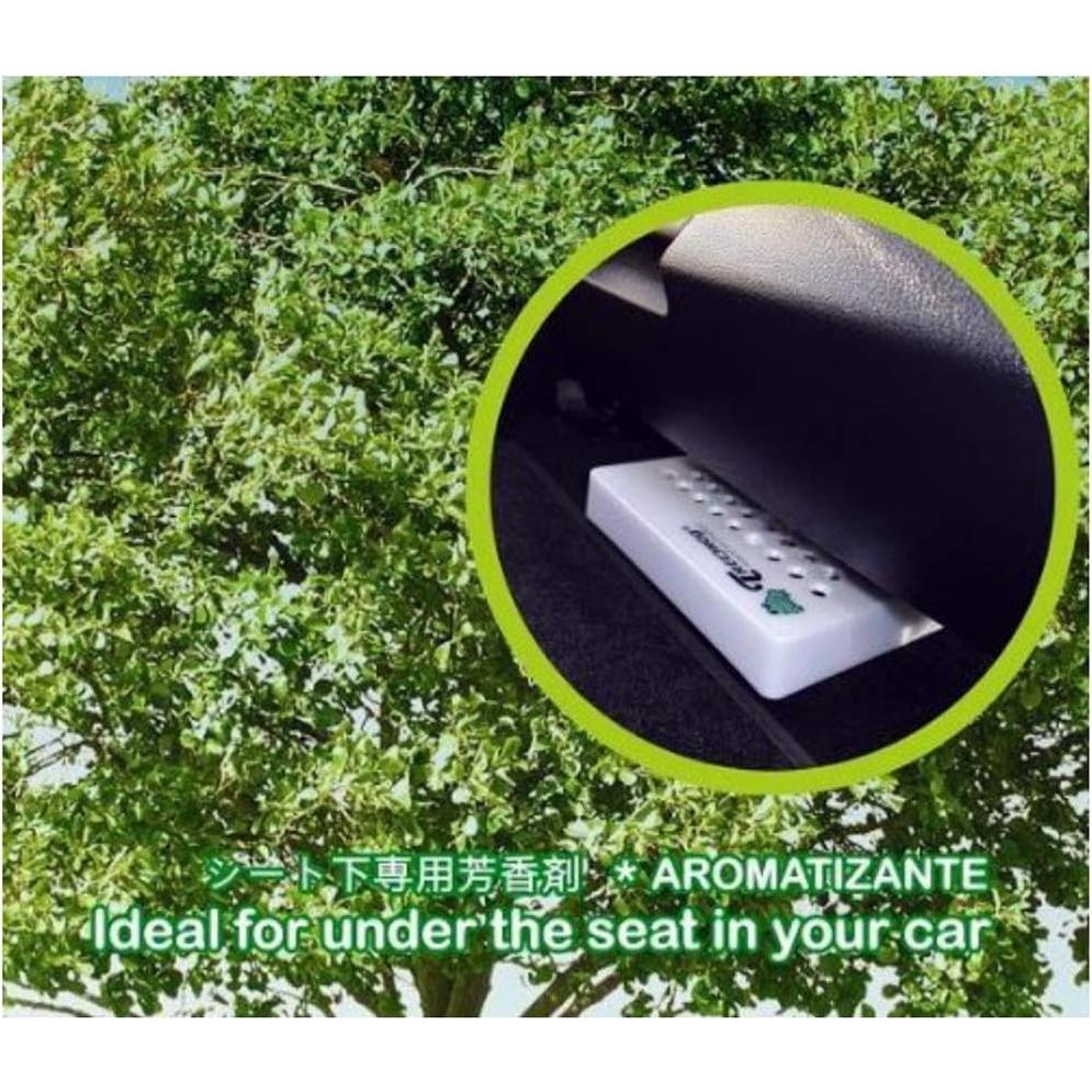 Ambientador YirehStore Treefrog Aroma Calabaza Negra - 5 Piezas