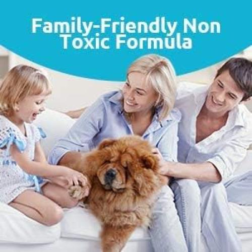 Kit de Limpieza de Calzado Unisex Ante RFSHED 4oz