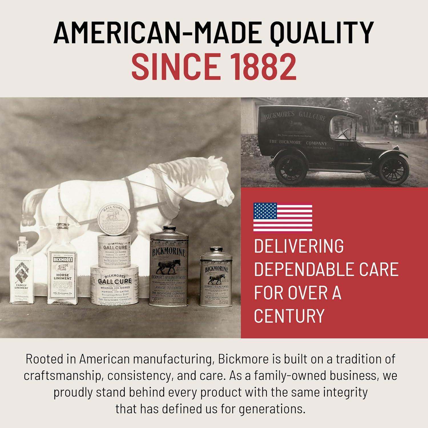 Kit de Cuidado del Cuero Bickmore - Limpiador y Acondicionador