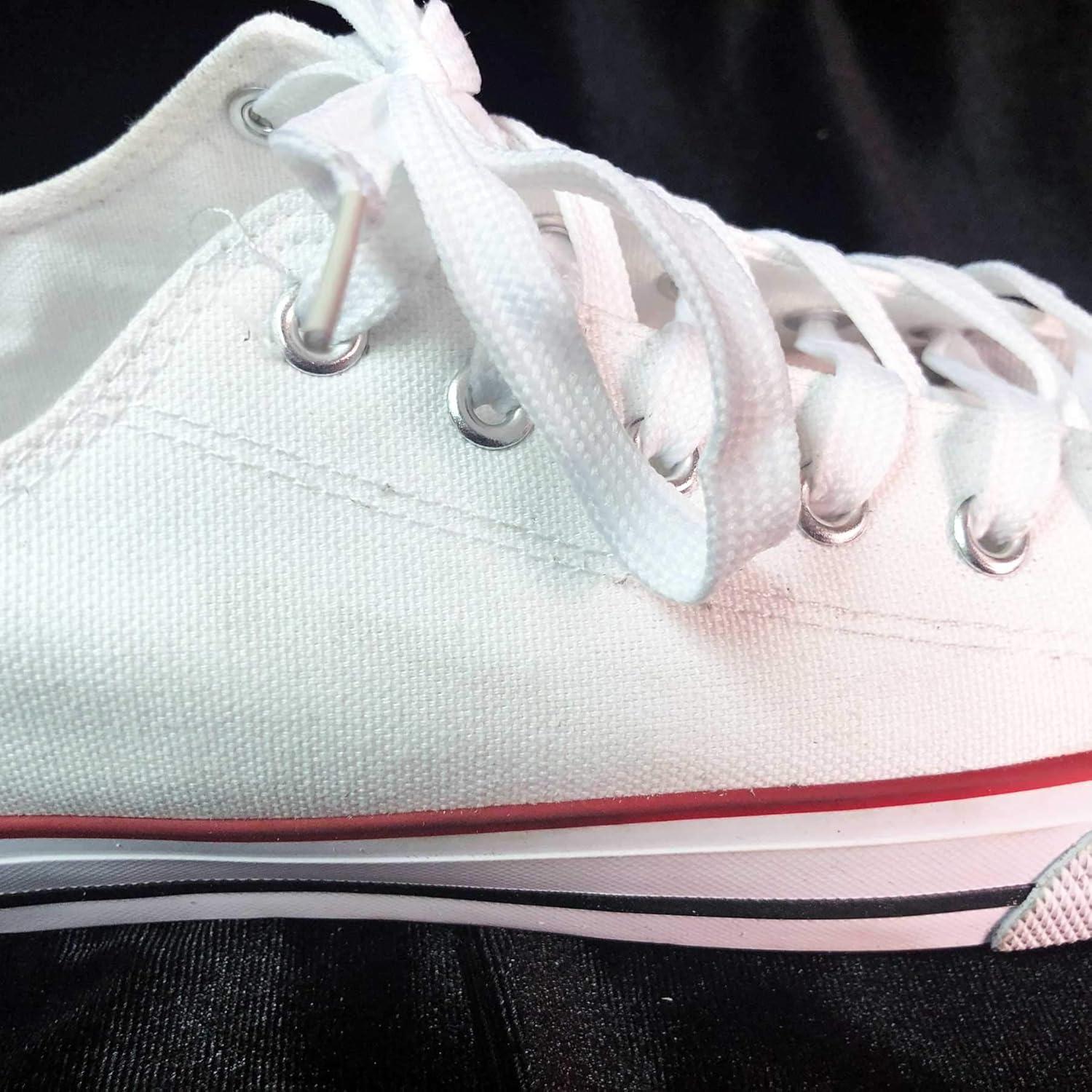 Goma de limpiar LION RUB-N-CLEAN RCS-300 para zapatillas