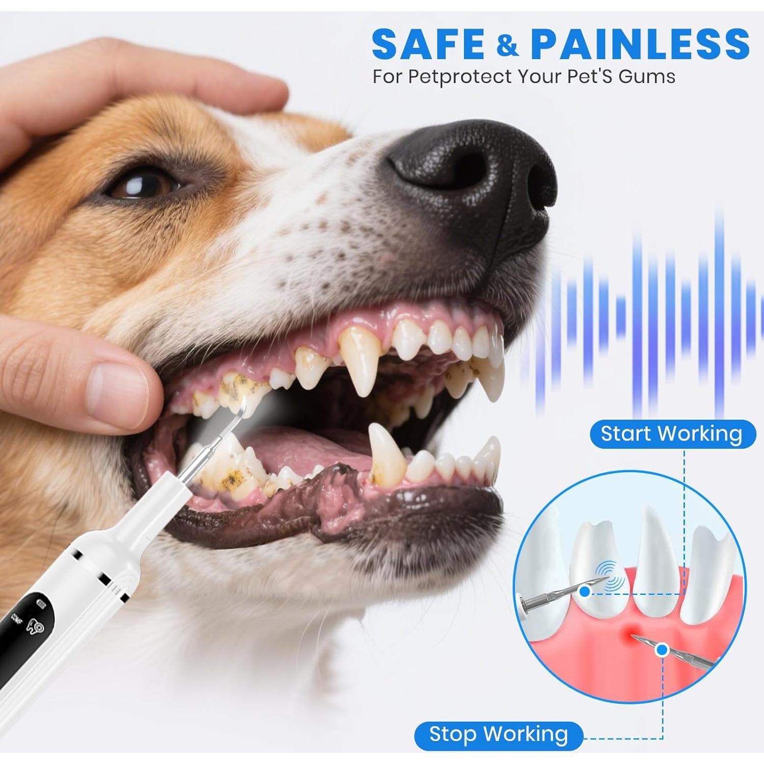 Removedor de Placa Dental Ultrasónico PATWING para Perros y Gatos