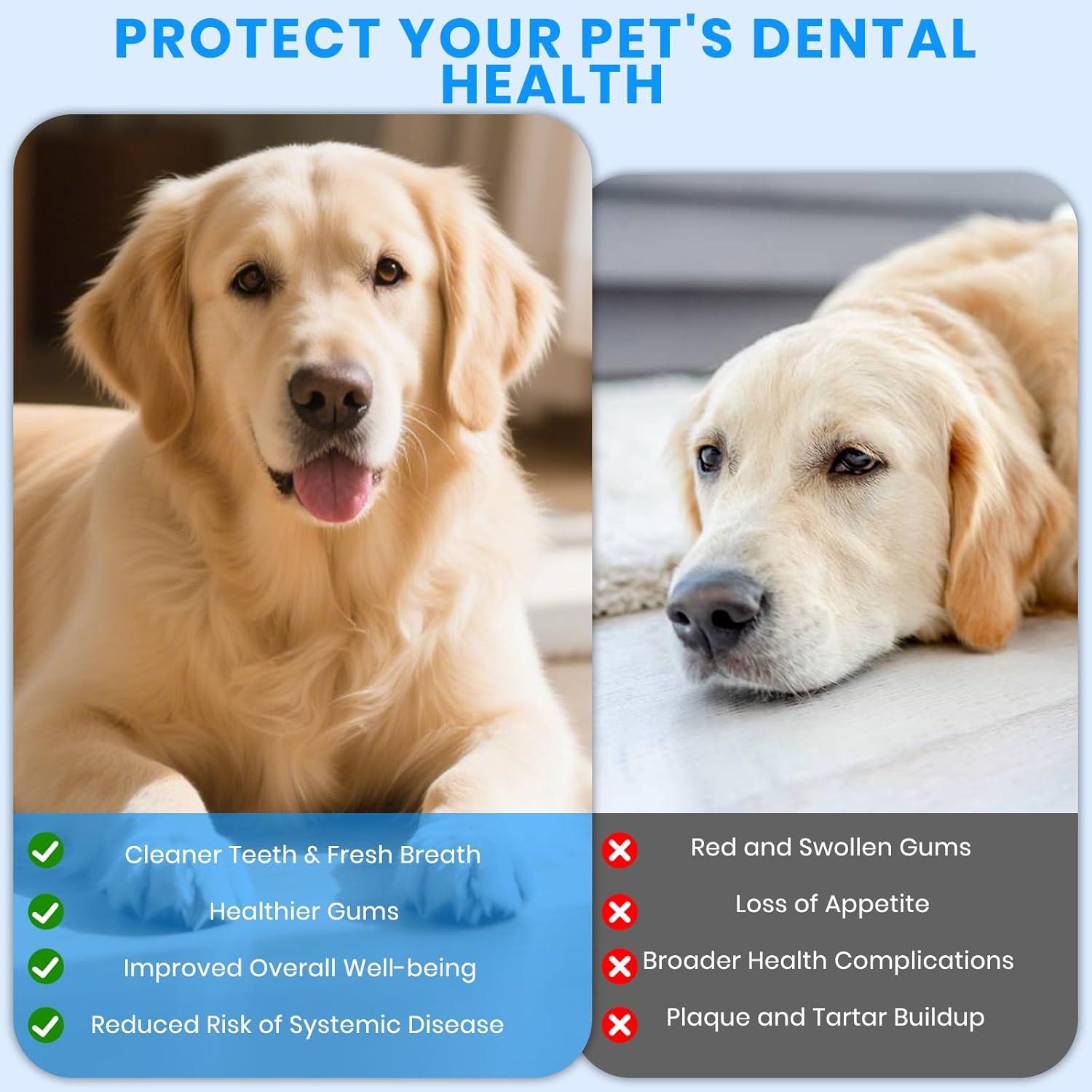 Removedor de Placa Dental Ultrasónico PATWING para Perros y Gatos