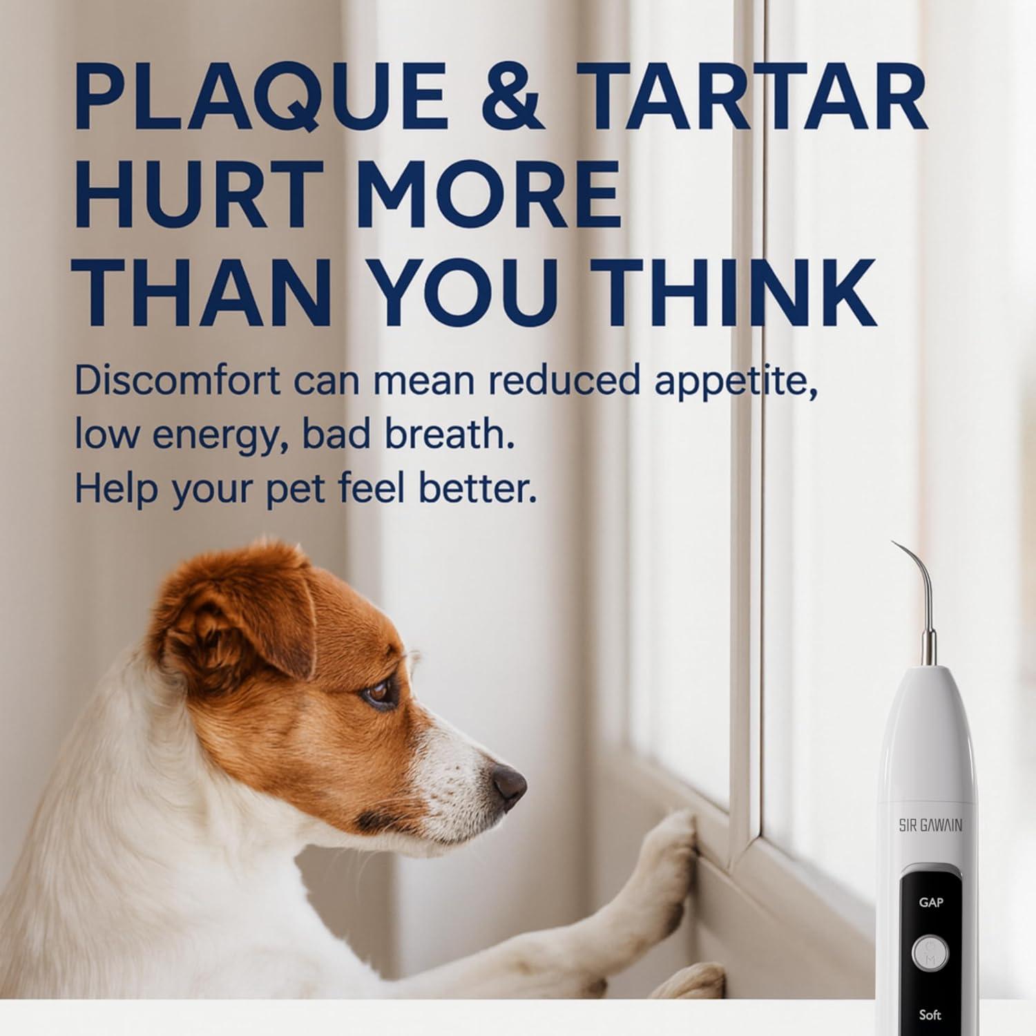 Removedor de Placa Dental SIRGAWAIN para Mascotas - Ultrasonido, 3 Modos, 4 Cabezas, Blanco