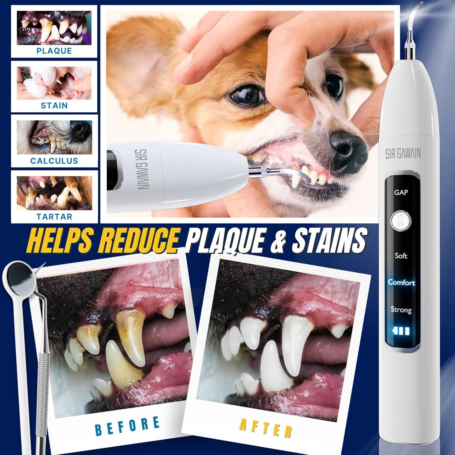 Removedor de Placa Dental SIRGAWAIN para Mascotas - Ultrasonido, 3 Modos, 4 Cabezas, Blanco