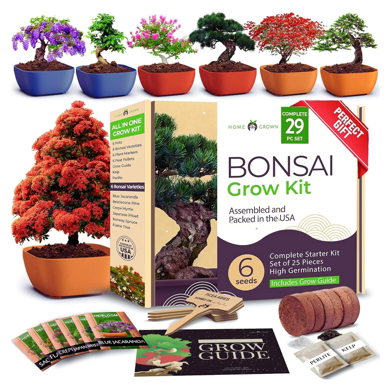 Kit de Bonsai HOME GROWN - 6 Variedades con Macetas