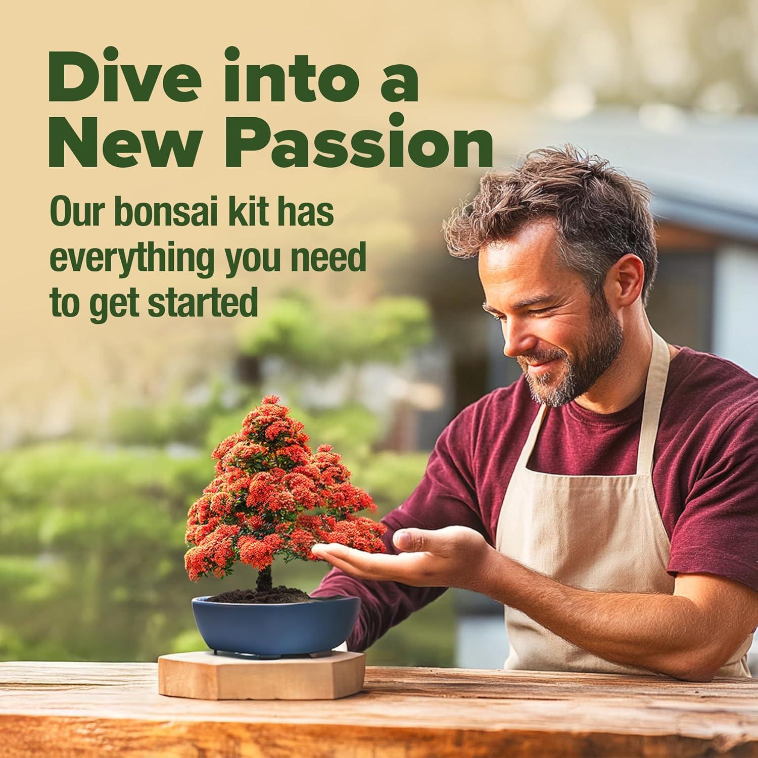 Kit de Bonsai HOME GROWN - 6 Variedades con Macetas